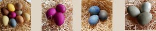 Easter Egg Colours