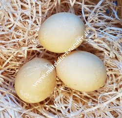 Egg colour - Curcuma (Curcuma longa) - 5g