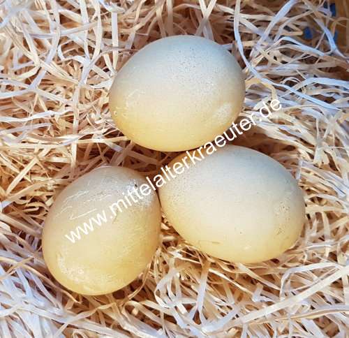 Eierfarbe - Kurkuma (Curcuma longa) - 5g - zum Schließen ins Bild klicken