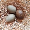 Eierfarbe - Holunderbeeren (Sambucus nigra) - 10g