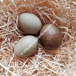 Egg colour - Elderberries (Sambucus nigra) - 10g