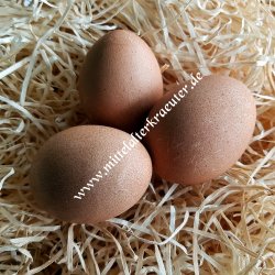 Egg colour - St. John's Wort (Hypericum perforatum) - 10g