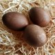 Egg colour - Walnut Shells (Juglans regia) - 10g