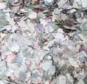 Birch Leaves (Betulae Folia)