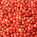 Pepper pink - Schinus berries (whole) - 30g