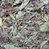 Peppermint leaves (whole) - 50g
